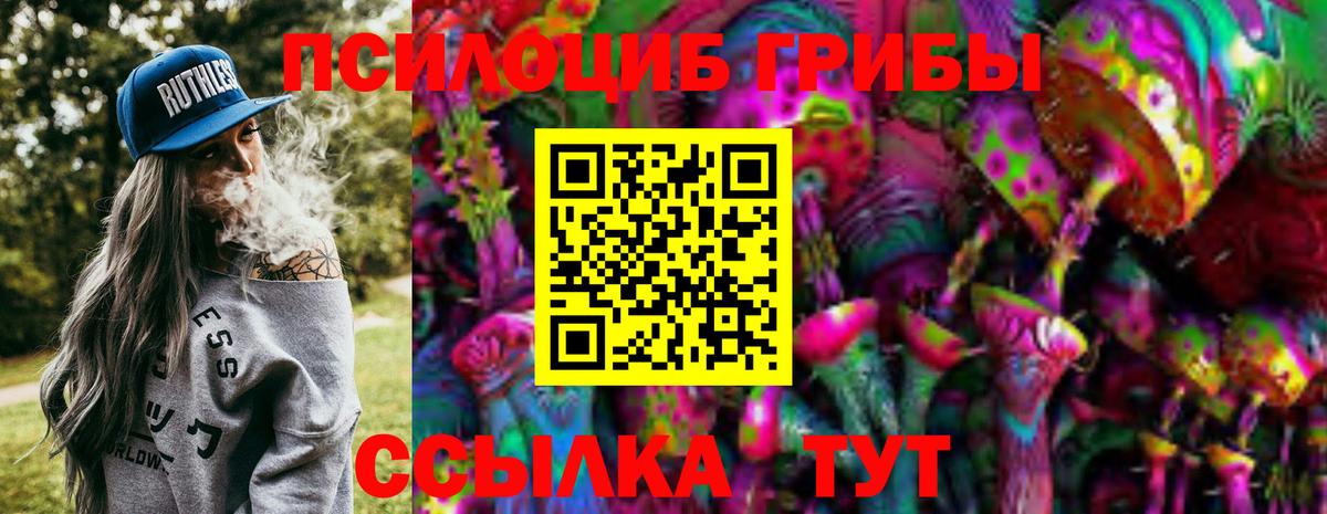 Галлюциногенные грибы Magic Shrooms Новодвинск